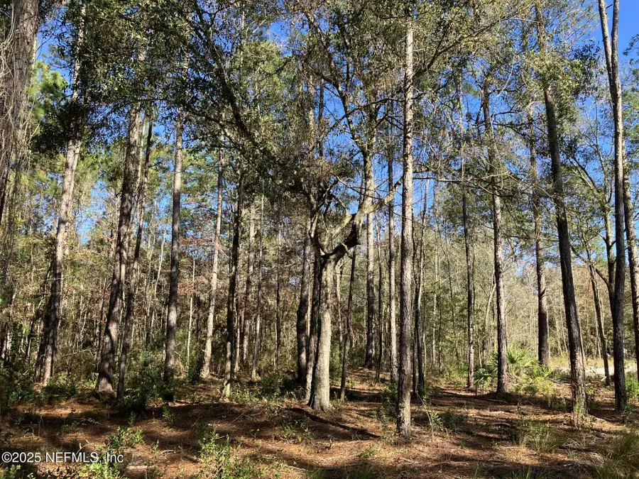 10050 Ebert Avenue, Hastings, FL 32145 - Image #2