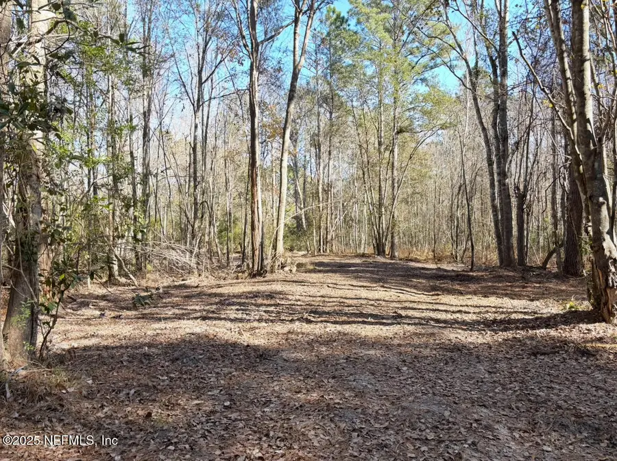 37125 Anna Marie Lane, Hilliard, FL 32046 - Image #2