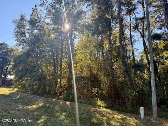 118 Ramsey Drive, Melrose, FL 32138 - Image #3