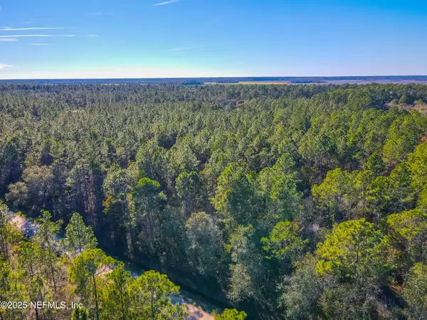 10265 Flikkema Avenue, Hastings, FL 32145