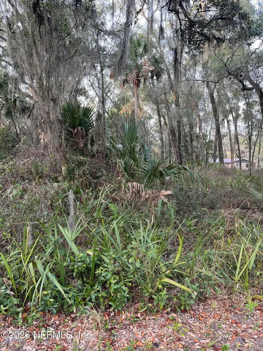 1024 Elm Street, Welaka, FL 32193 - #3