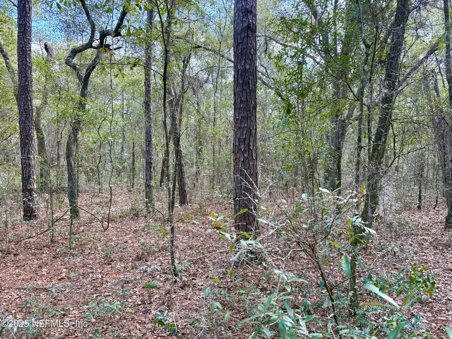 4581 Comet Avenue, Keystone Heights, FL 32656 - Image #3