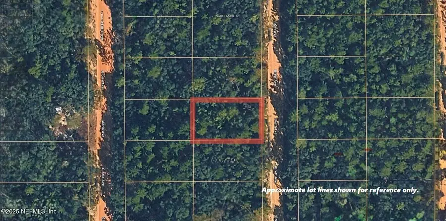 0 Brett Avenue, Interlachen, FL 32148 - Image #2