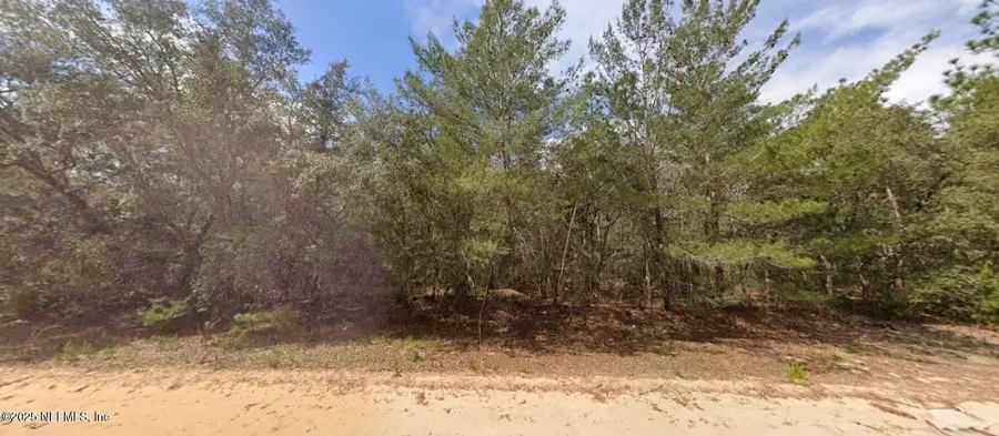 0 Brett Avenue, Interlachen, FL 32148 - Image #3