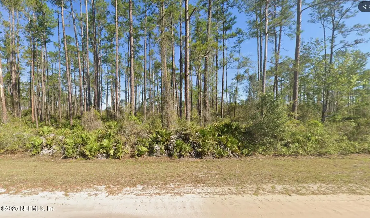 146 Pine Cone Drive, Georgetown, FL 32139 - Image #1