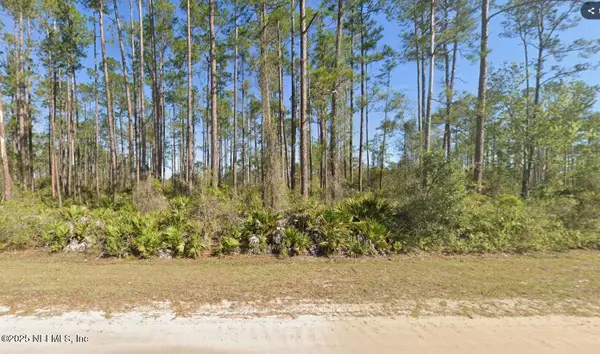 146 Pine Cone Drive, Georgetown, FL 32139