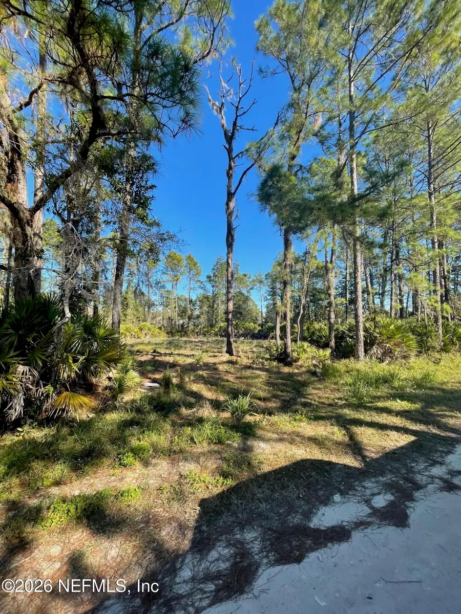 000 S Janet Drive, Crescent City, FL 32112 - Image #3