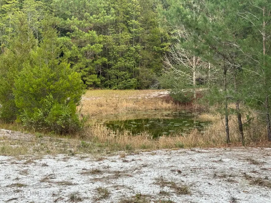 850 Cousintown Road, Interlachen, FL 32148 - Image #3