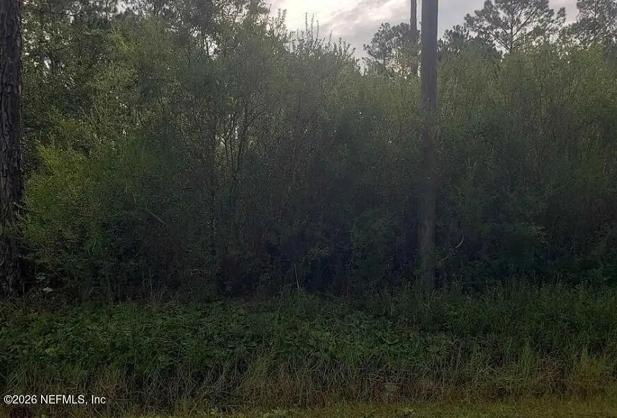 9720 Dillon Avenue, Hastings, FL 32145 - Image #3