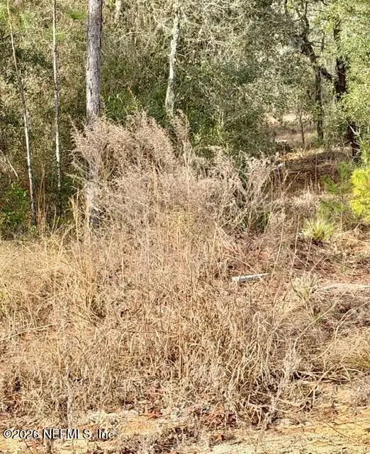 000 Royal Way, Interlachen, FL 32148 - #3