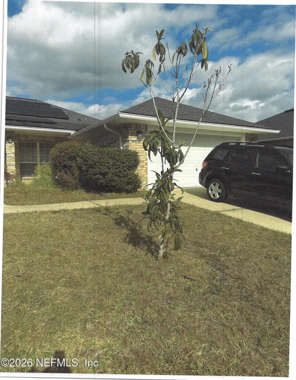 3642 Meadowgreen Lane, Middleburg, FL 32068 - Image #1