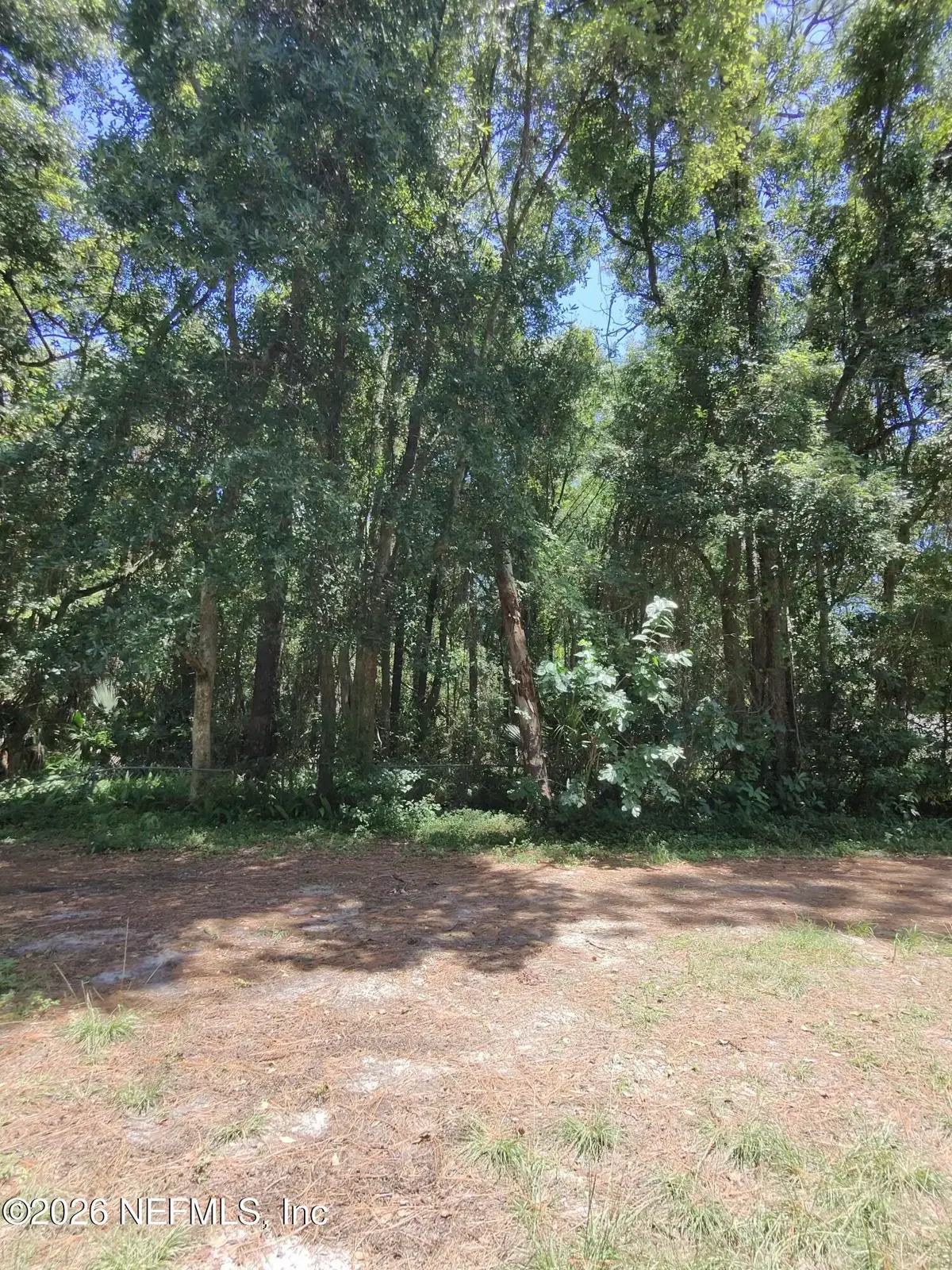 0 Ribault Terrace, Jacksonville, FL 32209 - Image #1