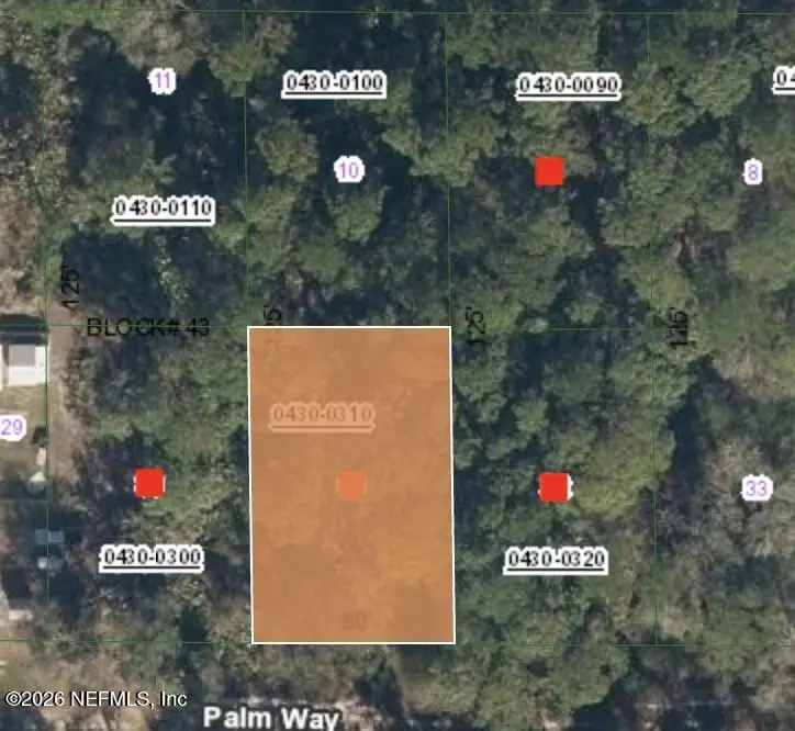 320 Palm Way, Georgetown, FL 32139 - Image #1