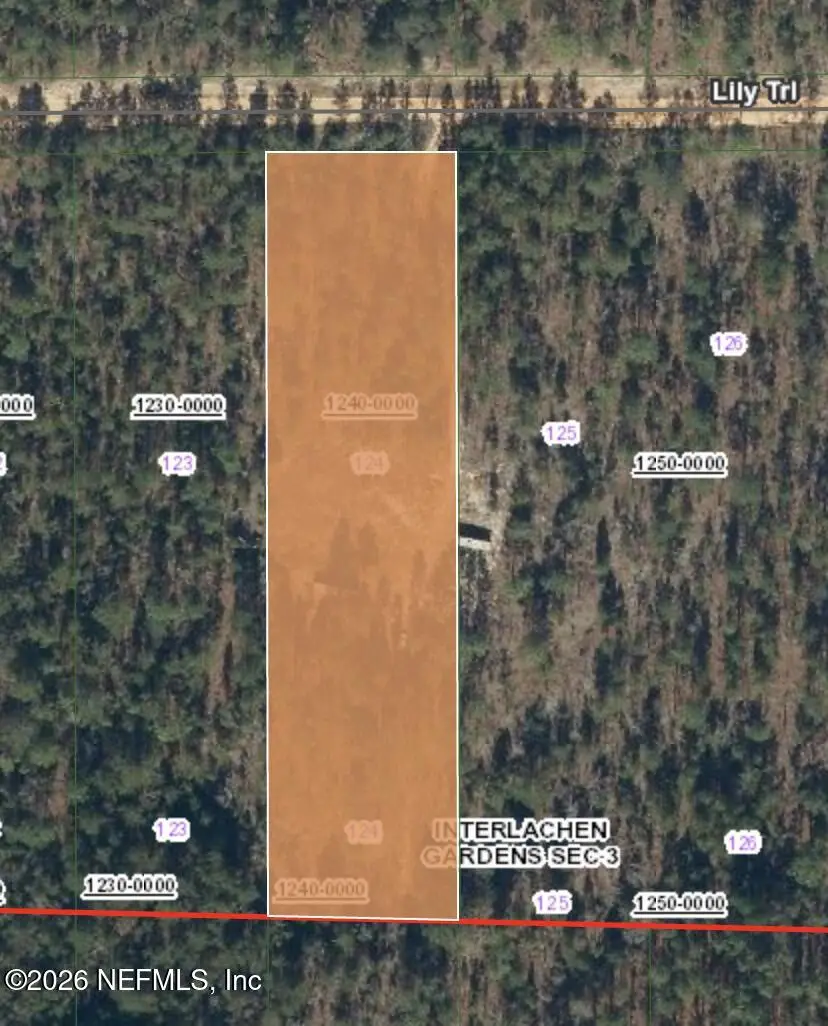 511 Lily Trail, Interlachen, FL 32148 - Image #2