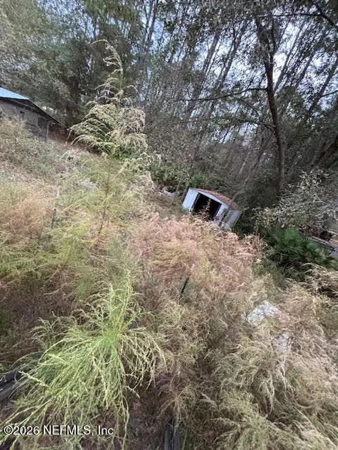 2009 Catherine Lane, Middleburg, FL 32068 - Image #3