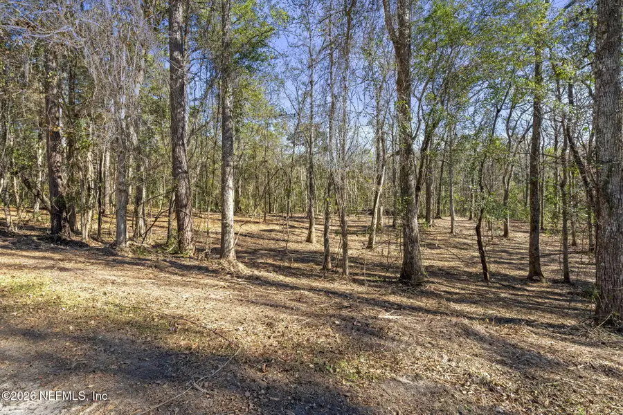 2764 Indigo Circle, Middleburg, FL 32068 - Image #3