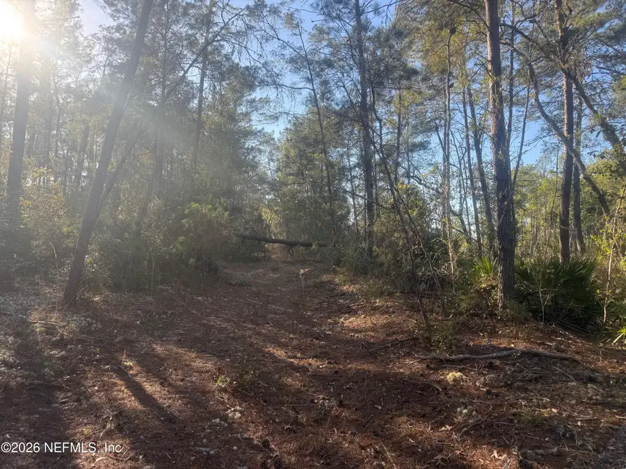 210 Morningside Drive, Florahome, FL 32140 - #3