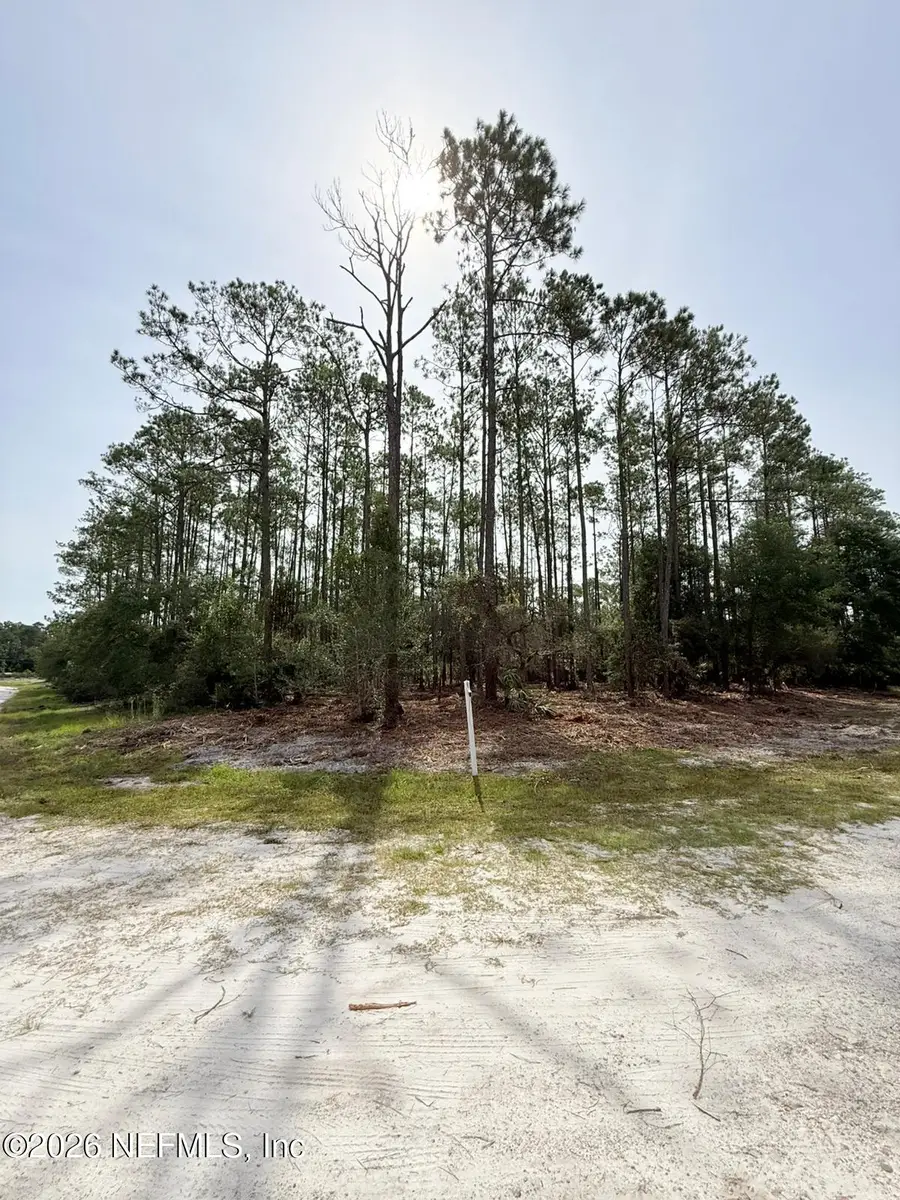 34 Whispering Pines Road Road, Georgetown, FL 32139 - #2
