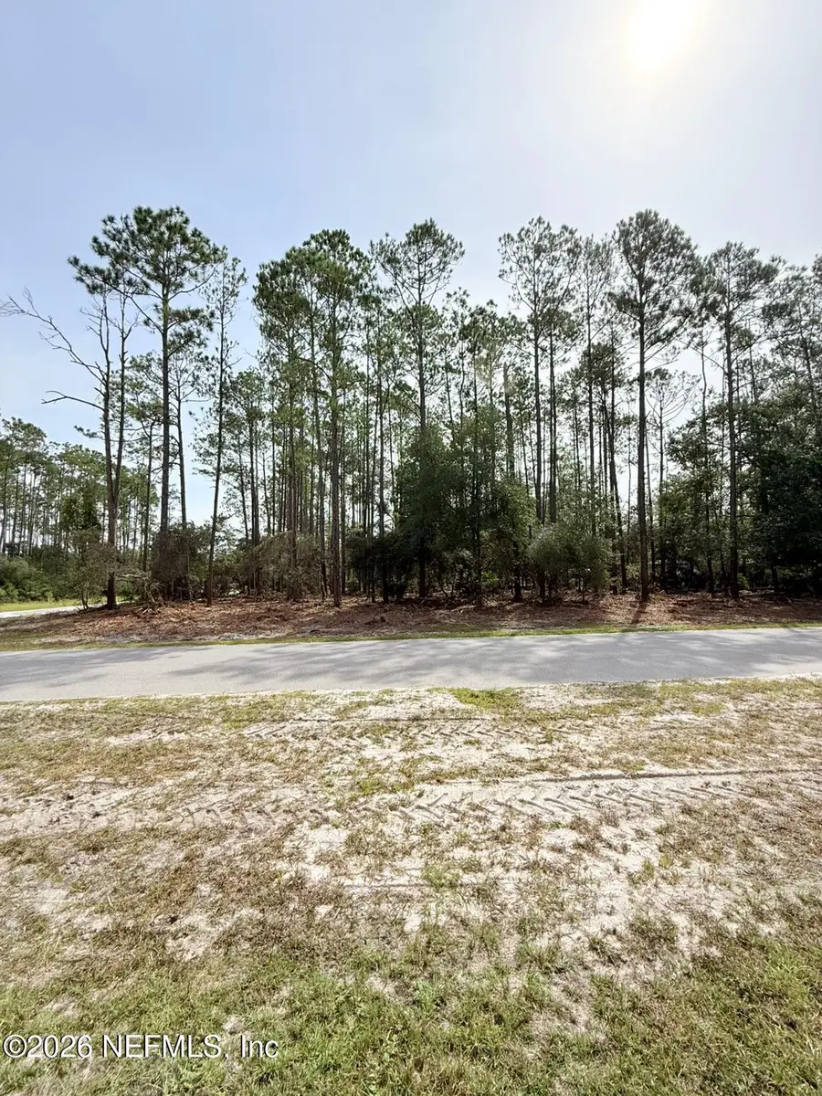 34 Whispering Pines Road Road, Georgetown, FL 32139 - #3