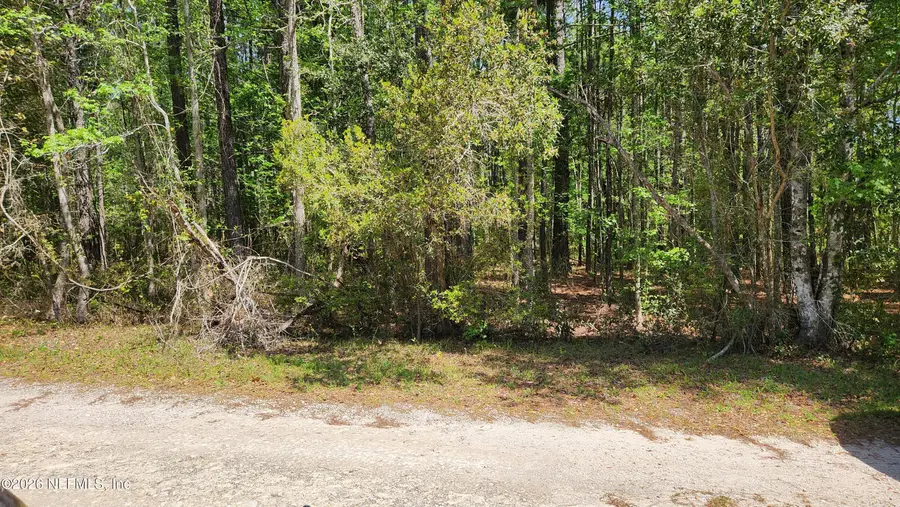 4400 Falcon Run Lane, Middleburg, FL 32068 - Image #2