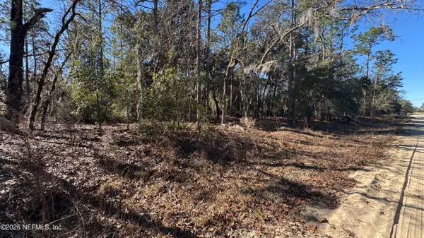 131 Spring Lake Drive, Interlachen, FL 32148