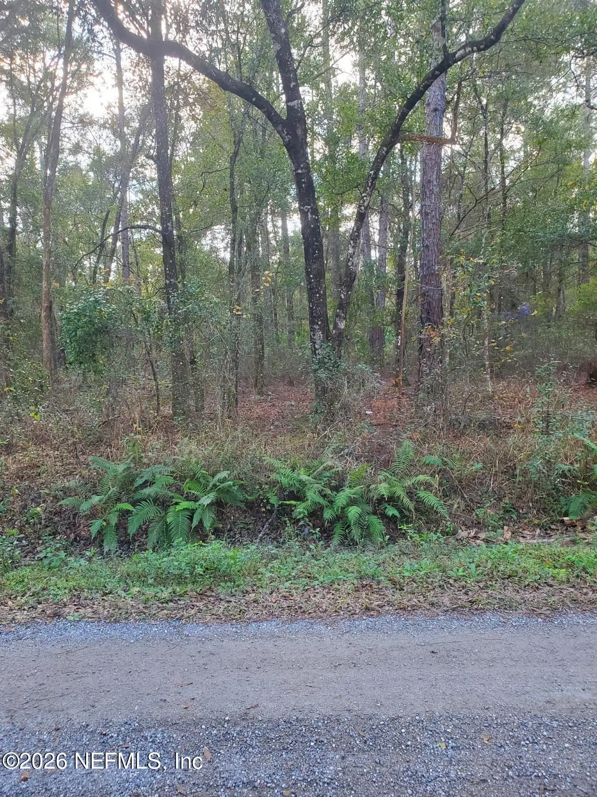 4825 Joseph Street, Hastings, FL 32145 - #1