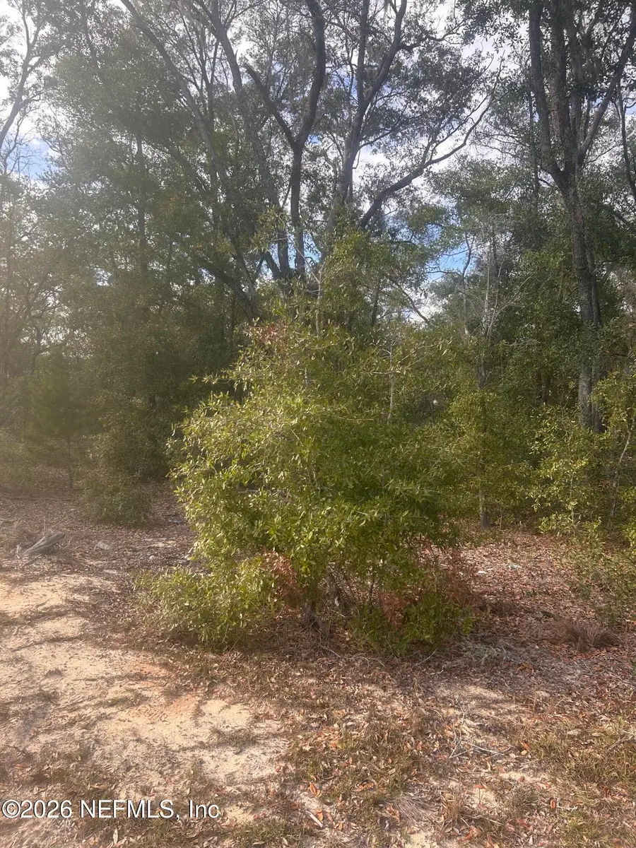 0 State Road 20, Hawthorne, FL 32640 - Image #2