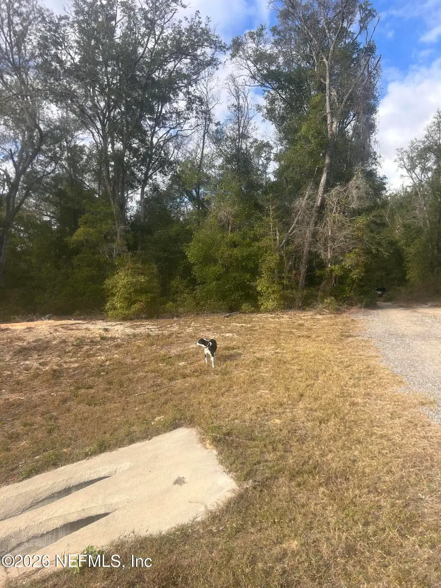 0 State Road 20, Hawthorne, FL 32640 - Image #3