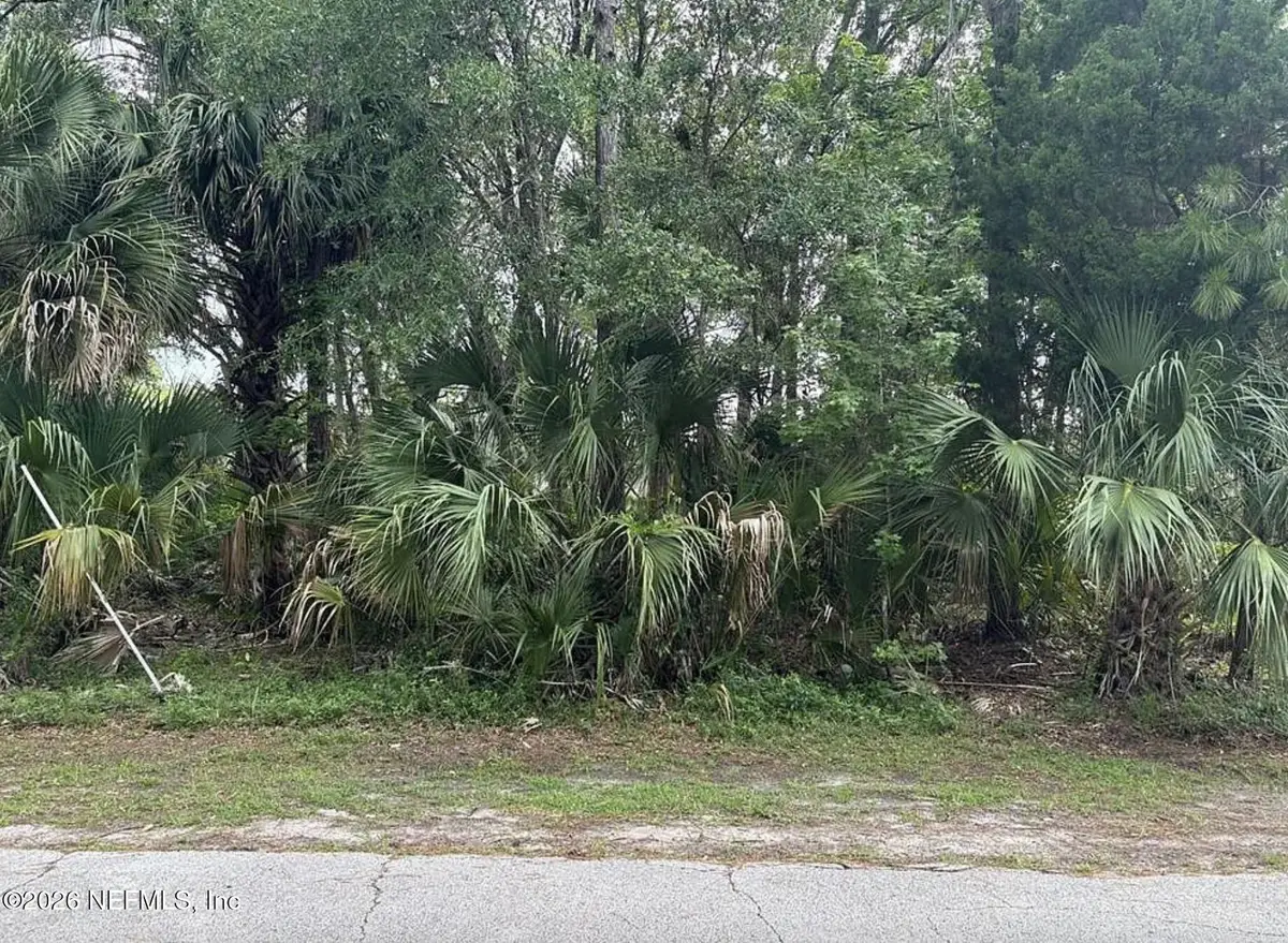 41 Poplar Drive, Palm Coast, FL 32164 - #1