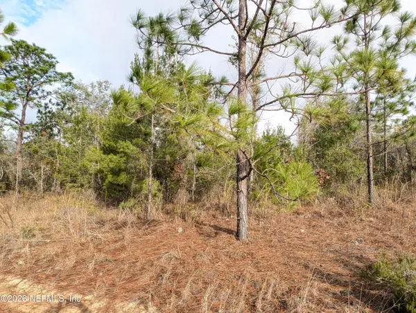 430 Cherry Street, Interlachen, FL 32148