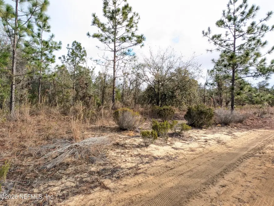 430 Cherry Street, Interlachen, FL 32148 - Image #2