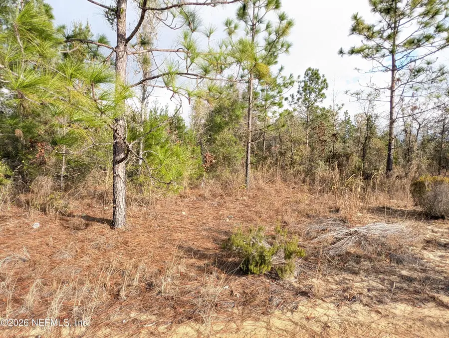 430 Cherry Street, Interlachen, FL 32148 - Image #3