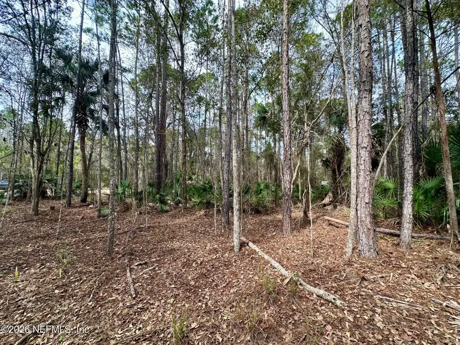 304 Lakeshore Drive, Georgetown, FL 32139 - #3