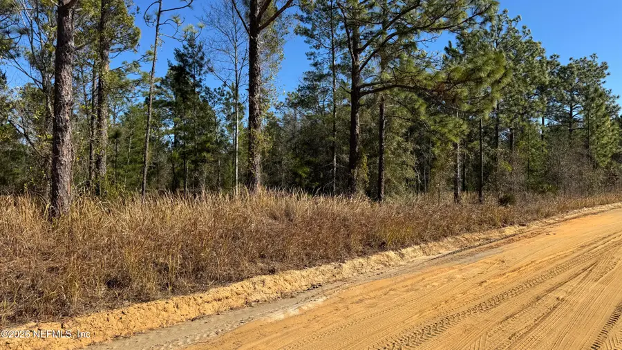 0 Poinciana Drive, Interlachen, FL 32148 - Image #3