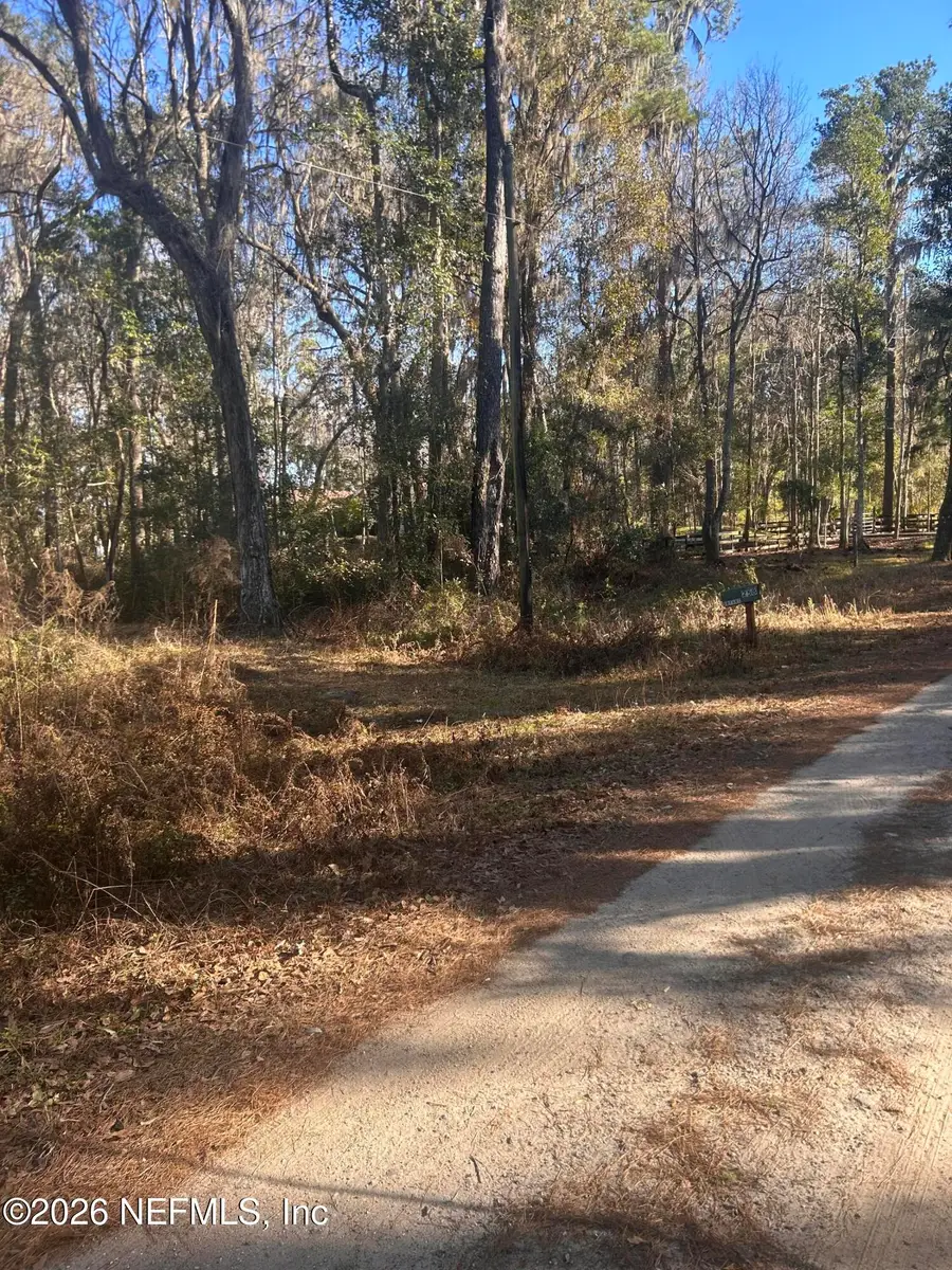 258 Lake Drive, Florahome, FL 32140 - #3