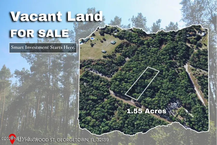 127 Harwood Street, Georgetown, FL 32139 - #2