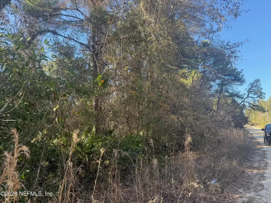 ZZZ Nettles Drive, Florahome, FL 32140 - #3