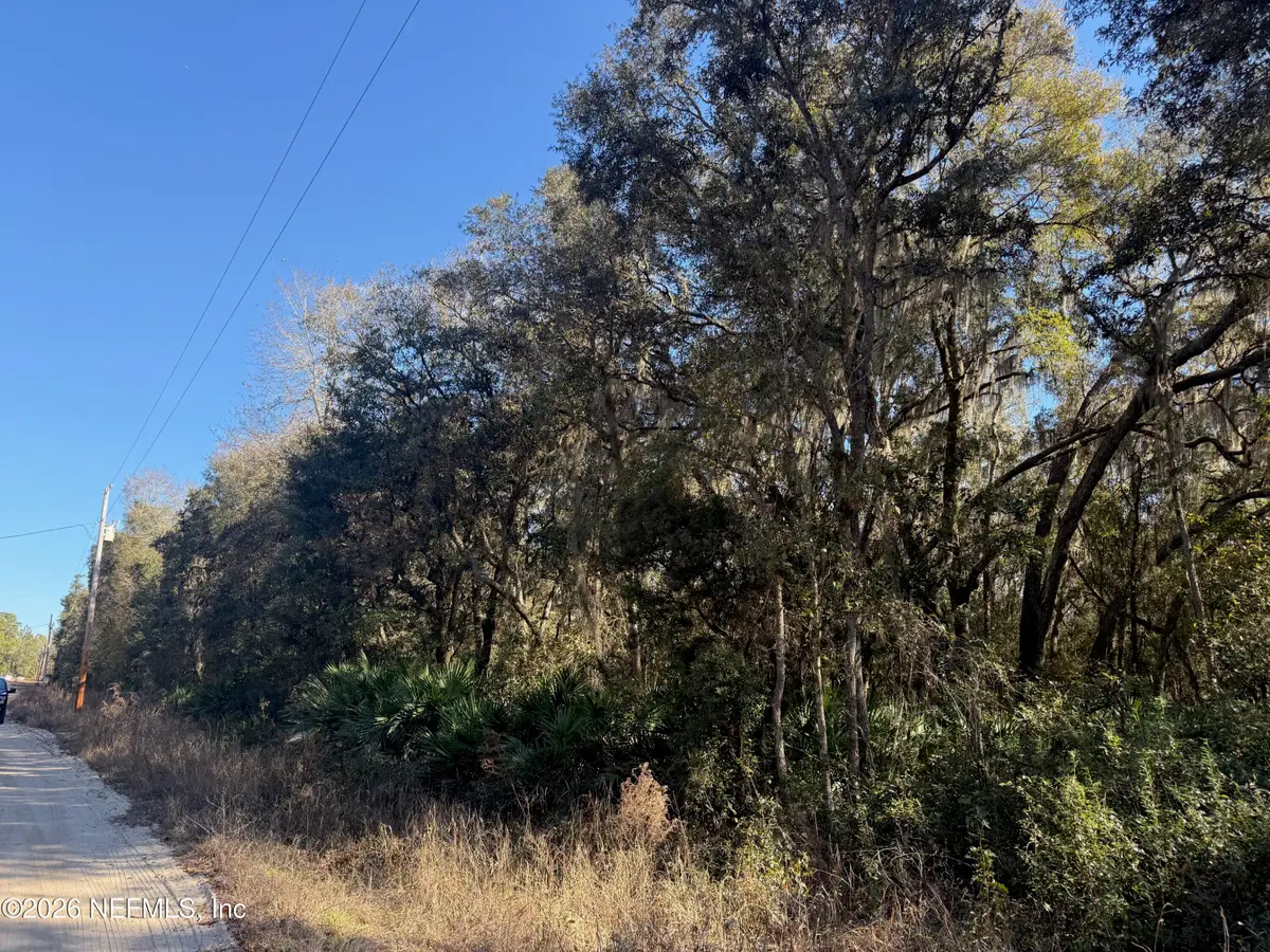 113 Doby Drive, Florahome, FL 32140 - #1