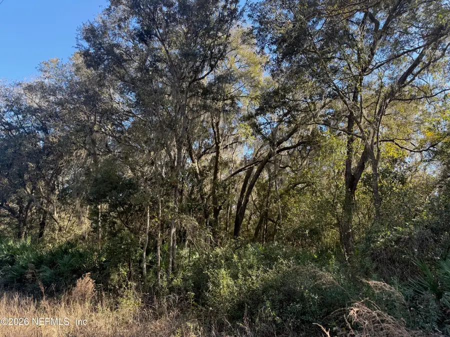 113 Doby Drive, Florahome, FL 32140 - #3