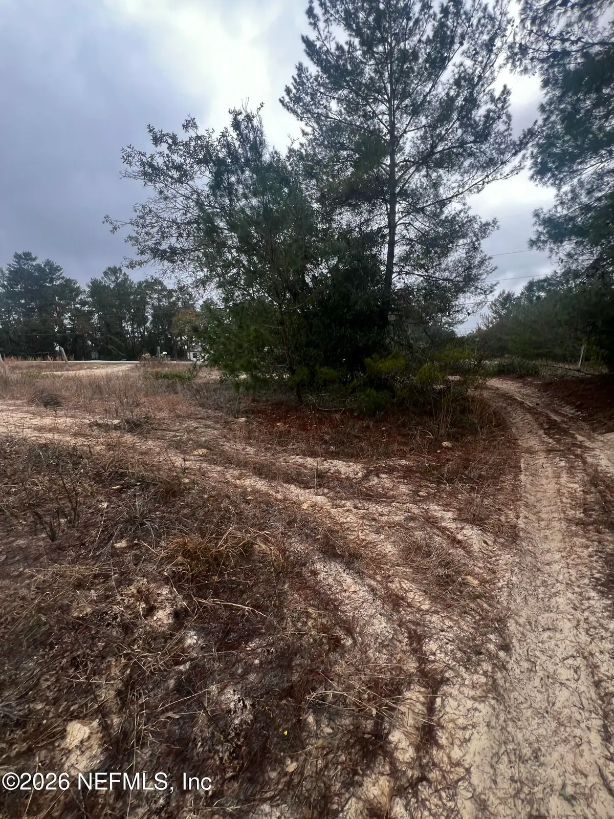 226 Ridge Road, Satsuma, FL 32189 - #1