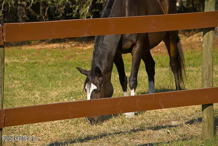 3760 Old Jennings Road, Middleburg, FL 32068 - #3