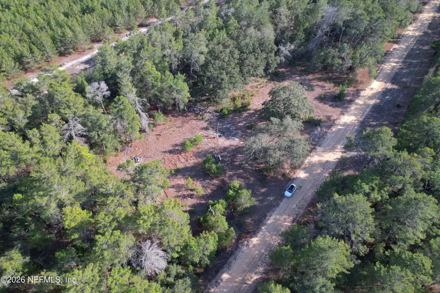 1118 Selma Avenue, Florahome, FL 32140 - #2