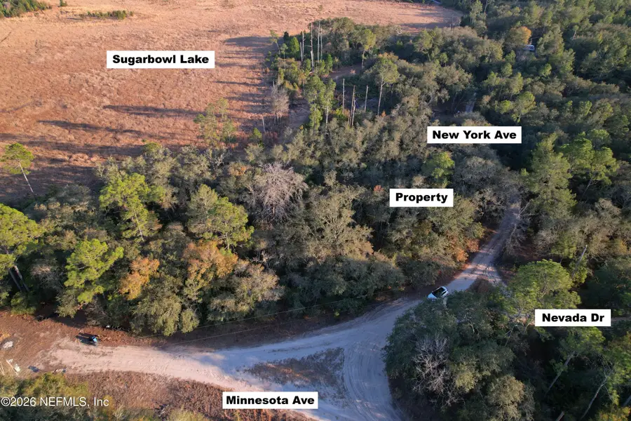 216 New York Avenue, Satsuma, FL 32189 - #2