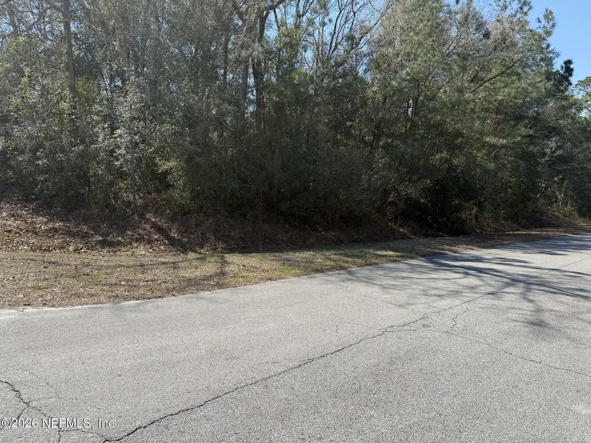 2196 Snap Court, Middleburg, FL 32068 - #1