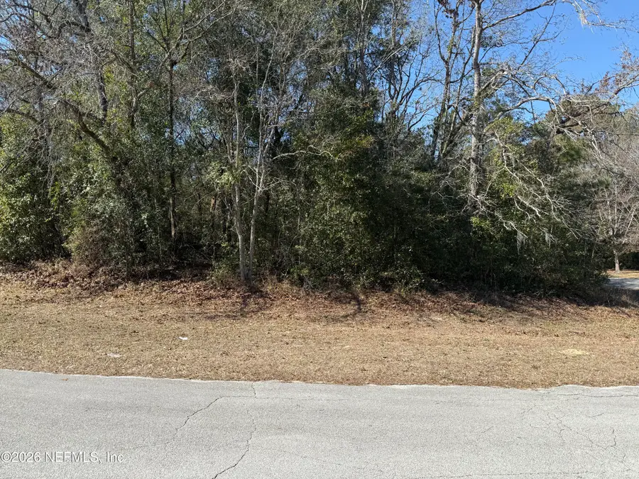 2196 Snap Court, Middleburg, FL 32068 - #2