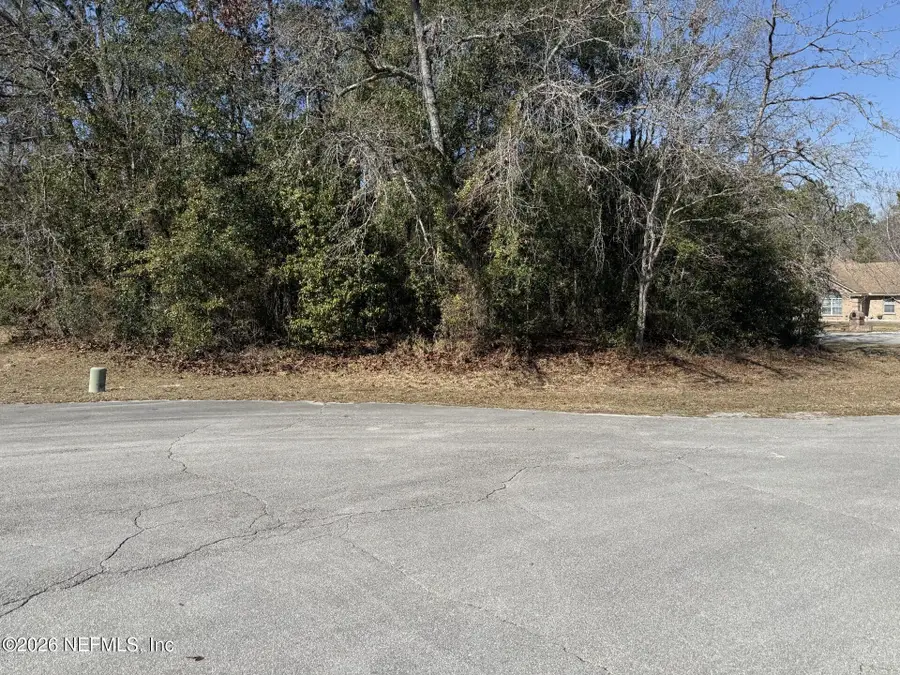 2196 Snap Court, Middleburg, FL 32068 - #3