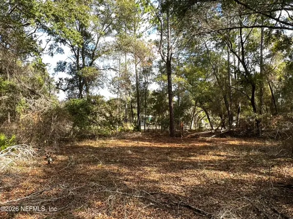 141 Woodland Lane Lane, Hawthorne, FL 32640