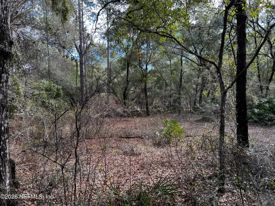 141 Woodland Lane, Hawthorne, FL 32640 - #3