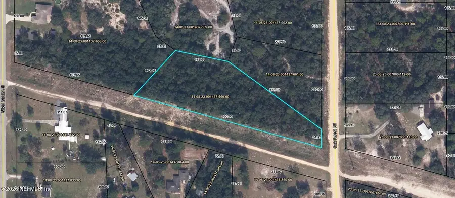 7676 Oak Forest Road, Keystone Heights, FL 32656 - #2