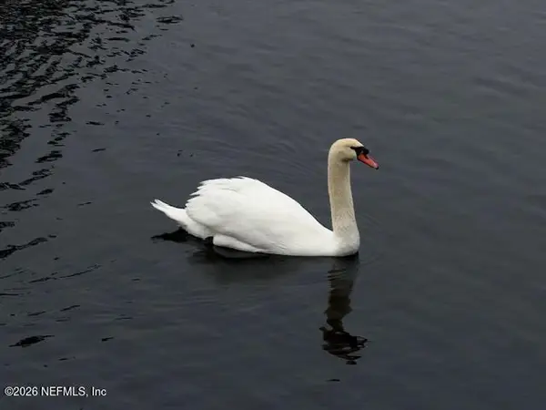 26 Fox Valley Drive, Orange Park, FL 32073